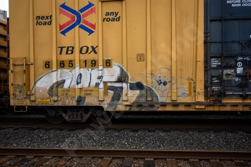 TBOX665196