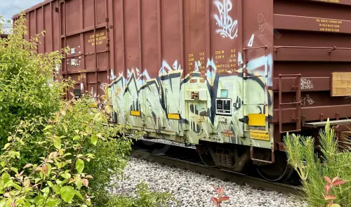 AOK1008