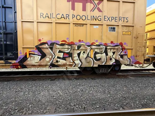 TBOX636479