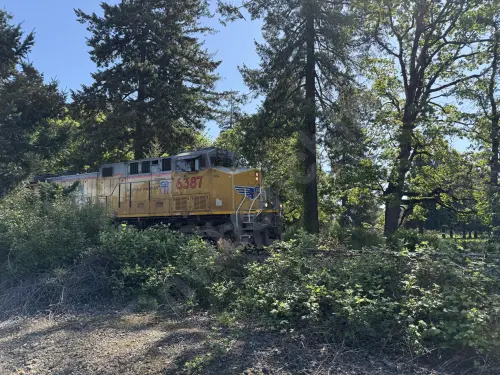 Train photo