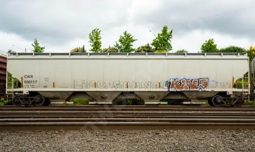 Train photo