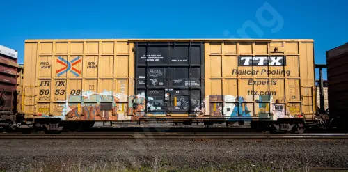 FBOX505308