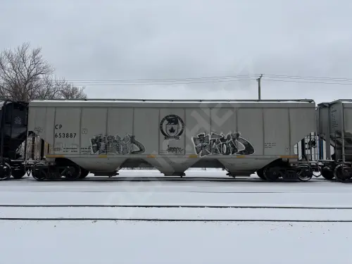 CP653887