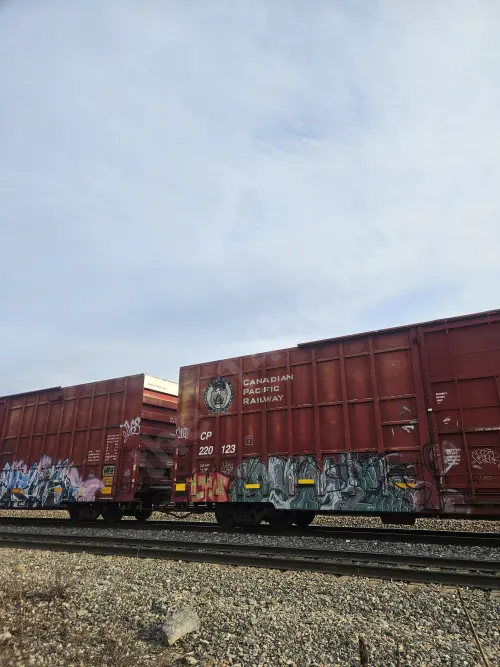 CP220123