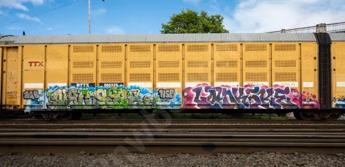 BTTX880329