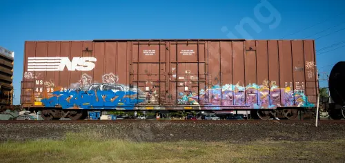 NS469525