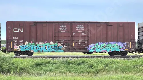 DWC794543