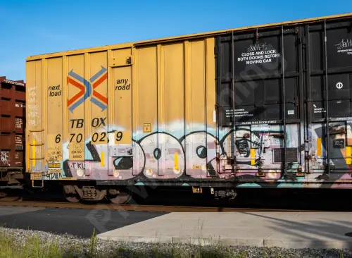TBOX670029