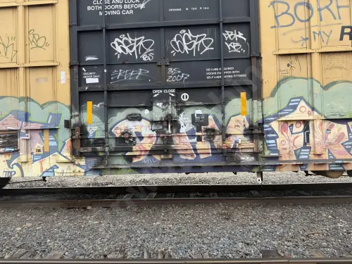FBOX505320