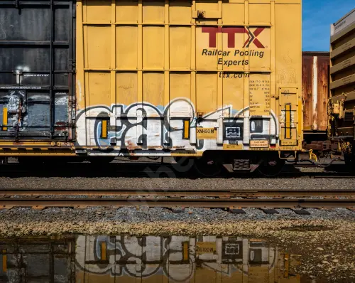 FBOX502061