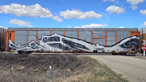 Train photo