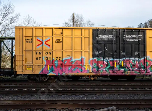 TBOX673177