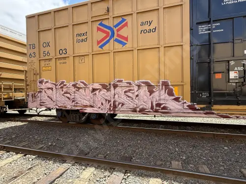 TBOX635603