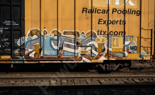 TBOX671307