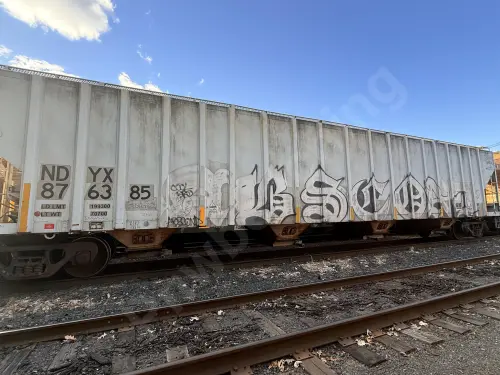 NDYX876385