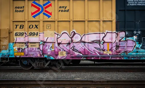 TBOX639994