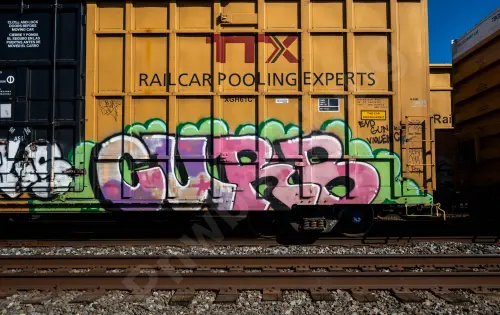 TBOX631842