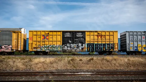TBOX675307