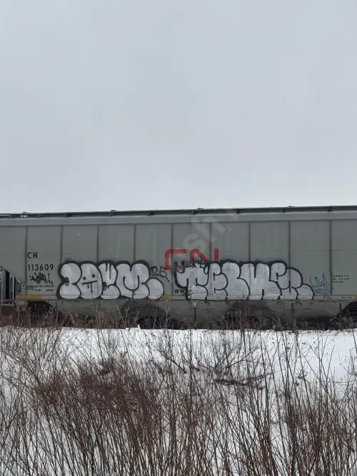Train photo