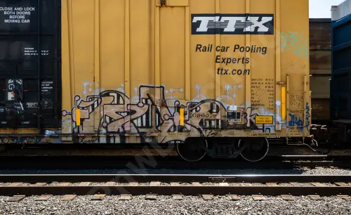 TBOX666902