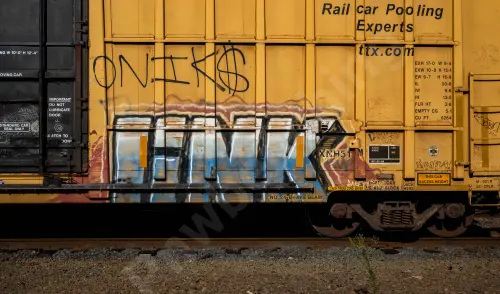FBOX502487