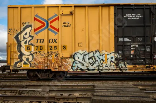 TBOX670253