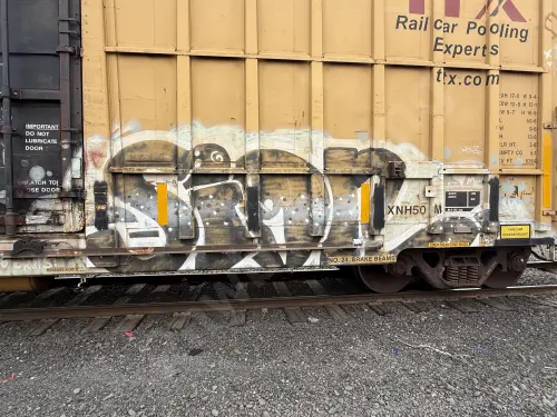 FBOX502502