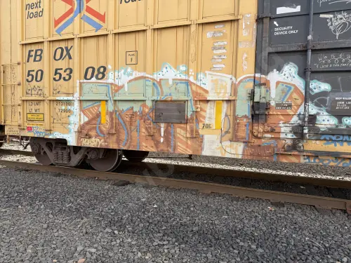 FBOX505308