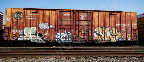 CP218204