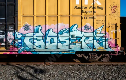 FBOX502209