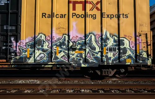 TBOX663484