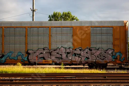 TTGX697557