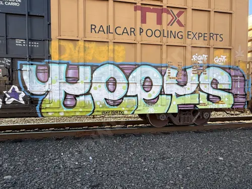 TBOX639193