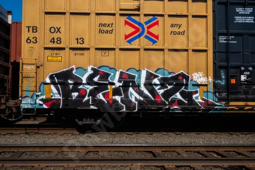 TBOX634813