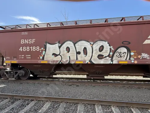 BNSF488188