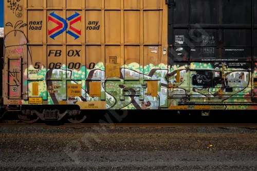 FBOX506000
