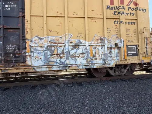 FBOX504838