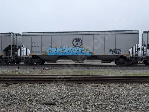CP654243