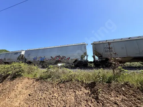 Train photo