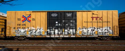 TBOX667539