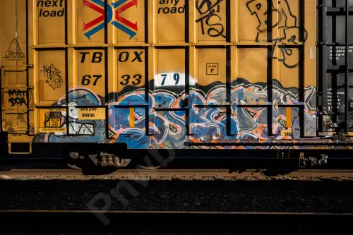 TBOX673379
