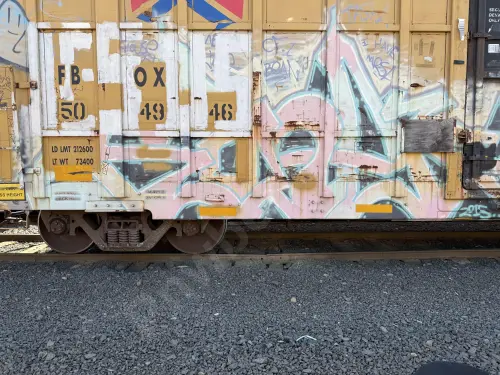 FBOX504946