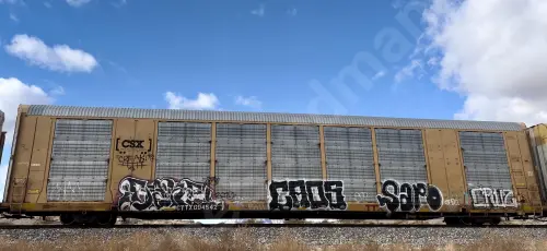 Train photo