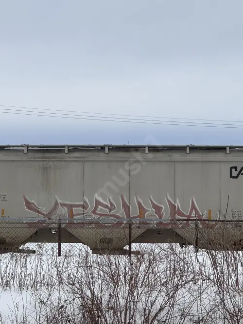Train photo