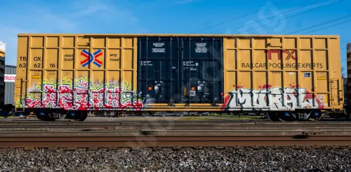 Train photo