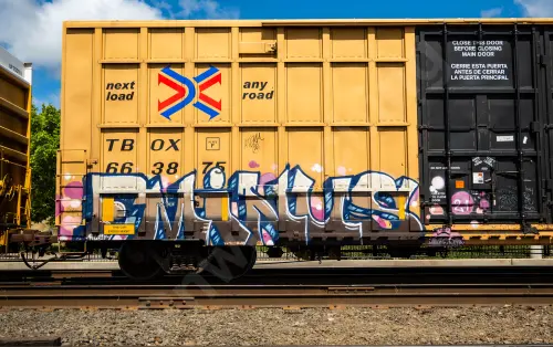 TBOX663875