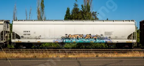 Train photo
