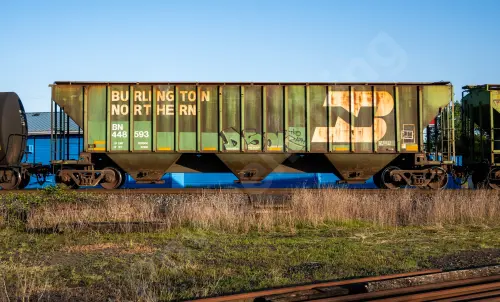 BN448593