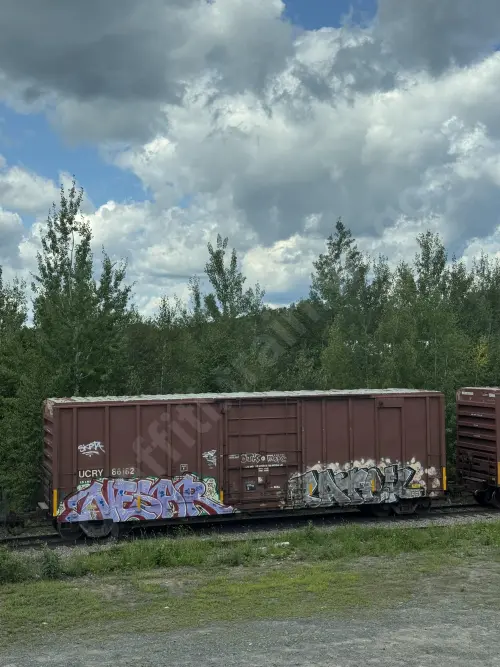 UCRY86182