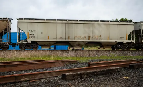 Train photo